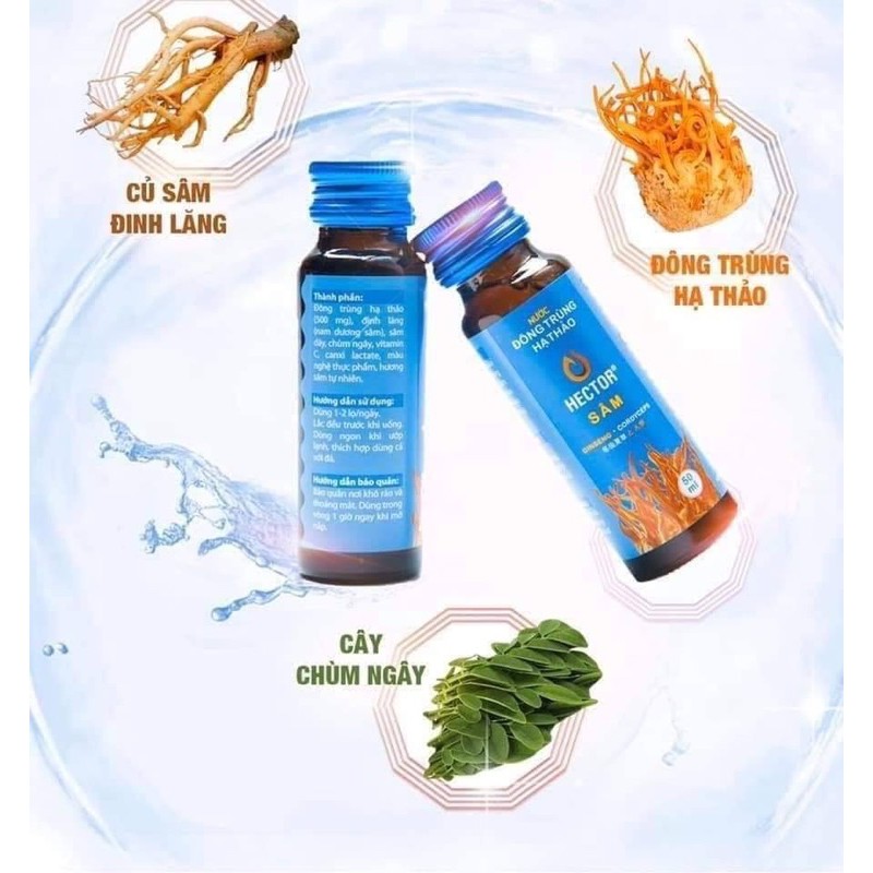 ✅TĂNG SỨC ĐỀ KHÁNG CƠ THỂ ✅ với Đông trùng hạ thảo Hector Sâm, giúp hạn chế bệnh vặt, 1 hộp 10 chai (50ml x 10chai)
