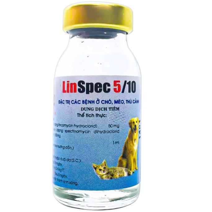 Línpec Lọ tiêm 5ml Kháng sinh chó mèo - đi ỉa kiết lị chó dạng chích