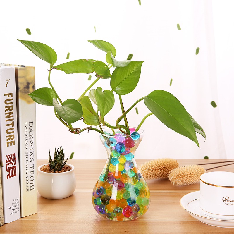 HẠT NỞ, ĐẤT SINH HỌC