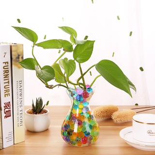 HẠT NỞ, ĐẤT SINH HỌC