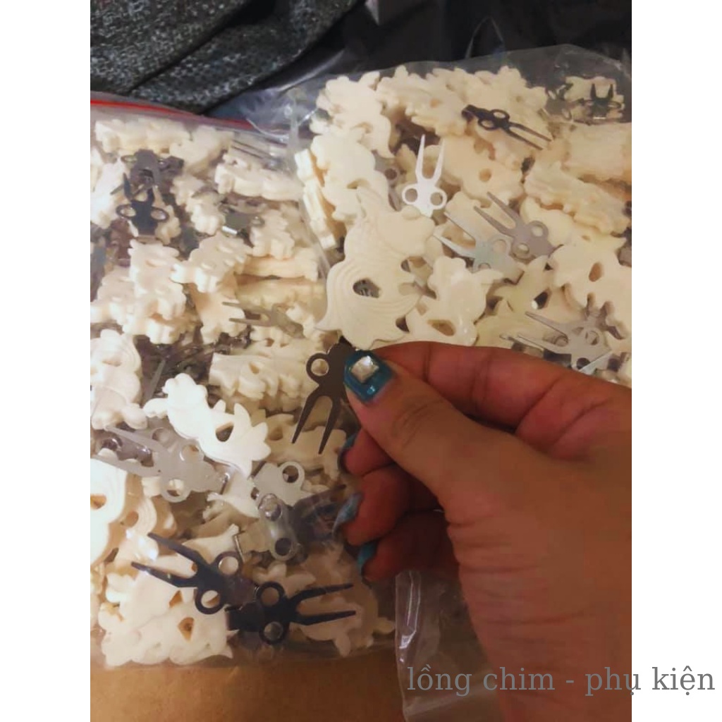 Xiên hoa quả Xiên chuối, hoa quả đẹp cho chim(chào mào, chòe, khuyên,..)