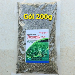 Giống Cỏ Ghine TD58 (Gói 200g) - Cỏ Sả Lá Nhỏ - Giống Cỏ Chăn Nuôi Chịu Hạn, Chịu Bóng Râm Tốt