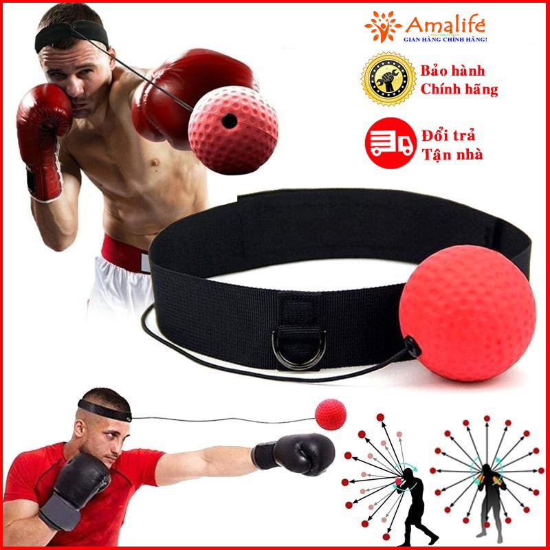 Bộ Bóng Tập Phản Xạ Tập Đấm Bốc Boxing Treo Đầu - Bóng Tập Phản Xạ Đấm Bốc Cao Cấp Chính Hãng Amalife