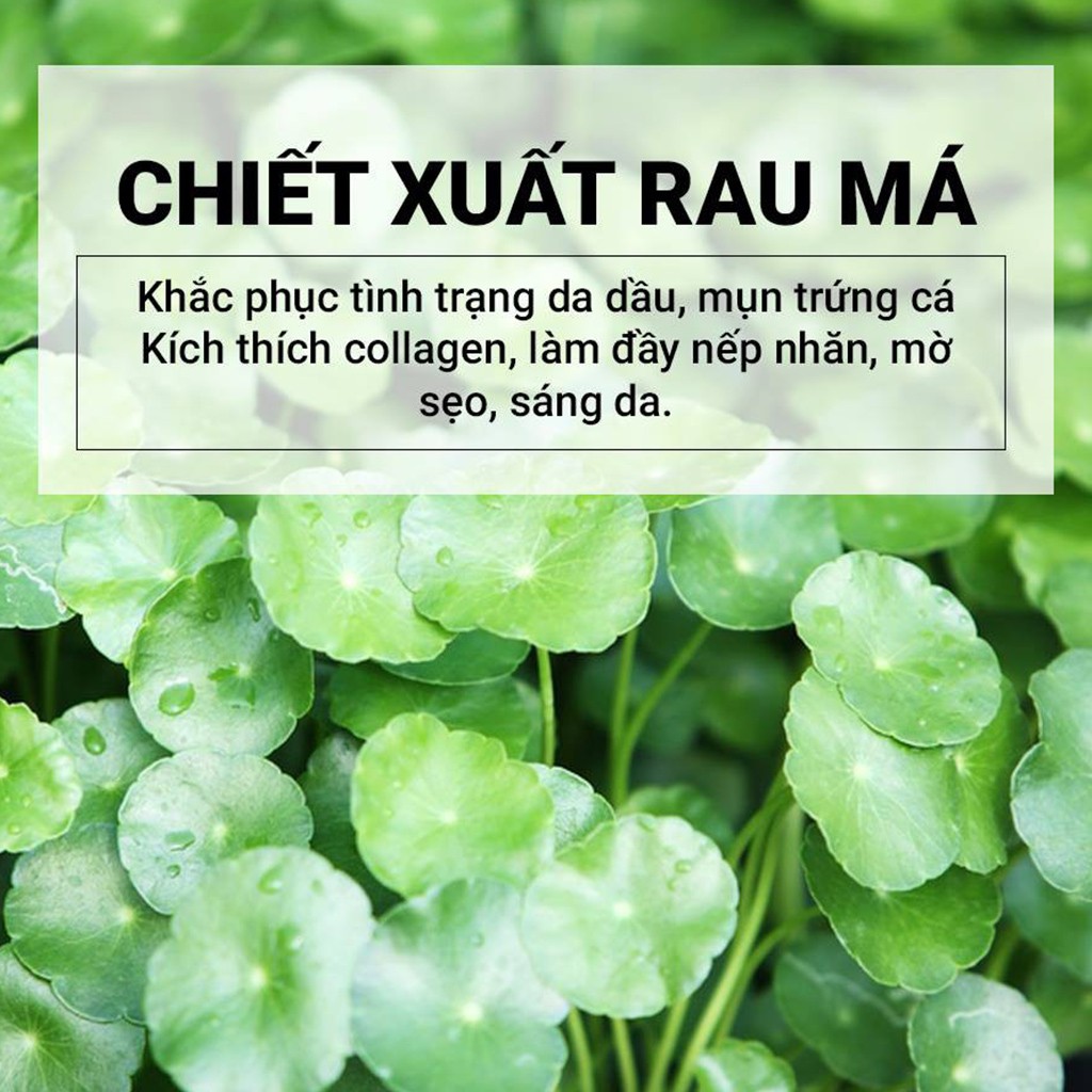 Kem Dưỡng Rau Má Cho Da Mụn Skin1004 Madagascar Centella Soothing Cream 75ml