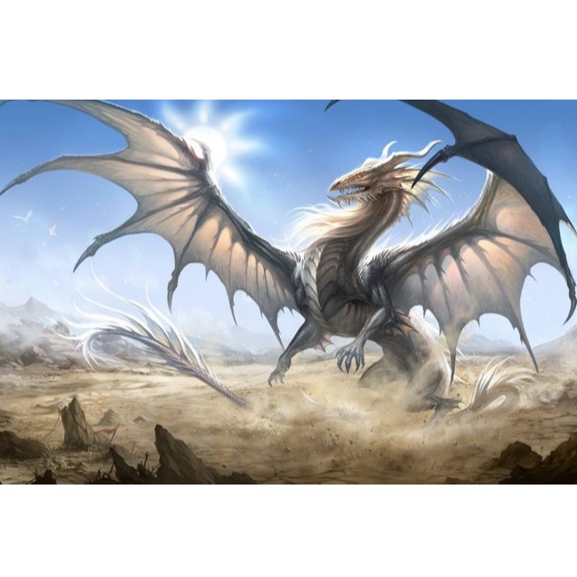 dragon_store, Cửa hàng trực tuyến | BigBuy360 - bigbuy360.vn