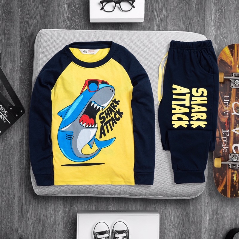 🚗 Bộ dài tay H&M hàng xuất bé trai 14-30kg