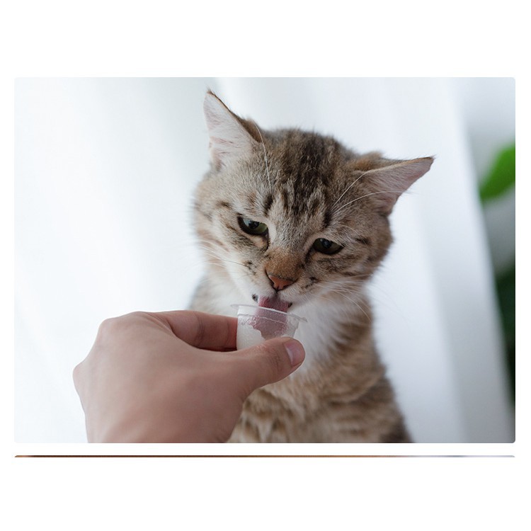 [SẴN][HCM] Pudding sữa dê cho mèo dạng viên