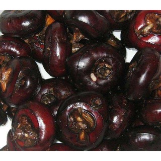 Củ mã thầy - củ năng tươi 1kg ( khách mua sỉ LH giá tốt )