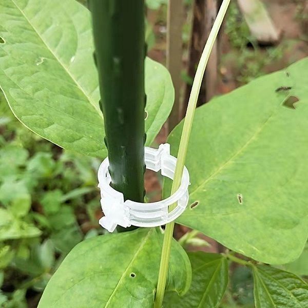 Kẹp Treo Cố Định Cành Cây / Dưa Leo / Dưa Leo Tiện Dụng