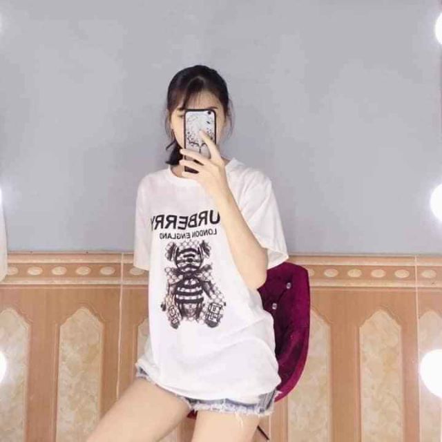 Đầm chọn live