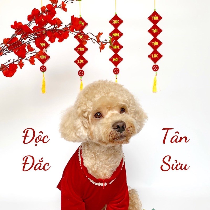 Độc Đắc áo dài - áo dài cho pet