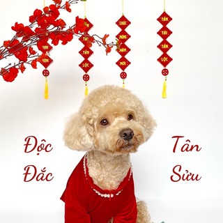 Áo dài nhung đỏ dành cho chó mèo ĐỘC ĐẮT