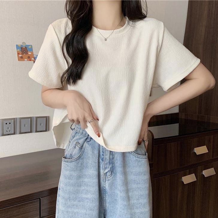 Áo Thun Tay Ngắn Phong Cách Hàn Quốc Thời Trang Mùa Hè Dễ Phối Đồ Cho Nữ  WT-TX-268