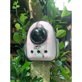 Balô nhựa cho chó mèo