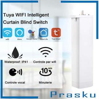 Tuya zigbee wiff electric curtain track motor Google Amazon smart voice EU