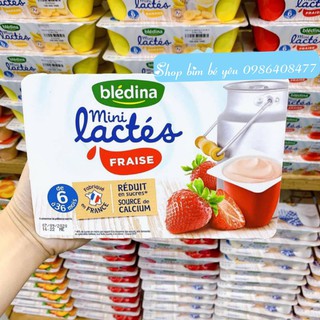 Sữa chua BLEDINA đủ vị