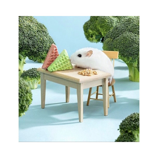￼[ YEE ] Bánh xốp Waffle cho hamster và thú cưng nhỏ