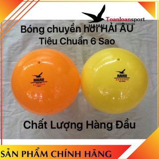 Bóng chuyền hơi Hải Âu 250g ( tiêu chuẩn thi đấu )