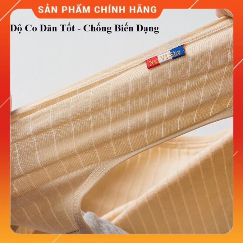 Quần Lót Cotton Pháp Sợi Tre Màng Kháng Khuẩn 225