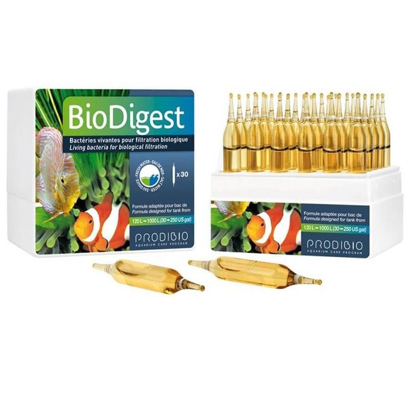 VI SINH SỐNG XỬ LÝ NƯỚC PRODIBIO BIODIGEST - 1 Ống