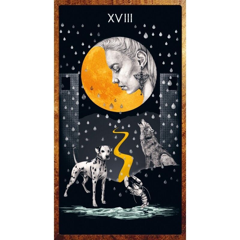 [Size Gốc] Bộ Bài Dancing in the Dark Tarot 012