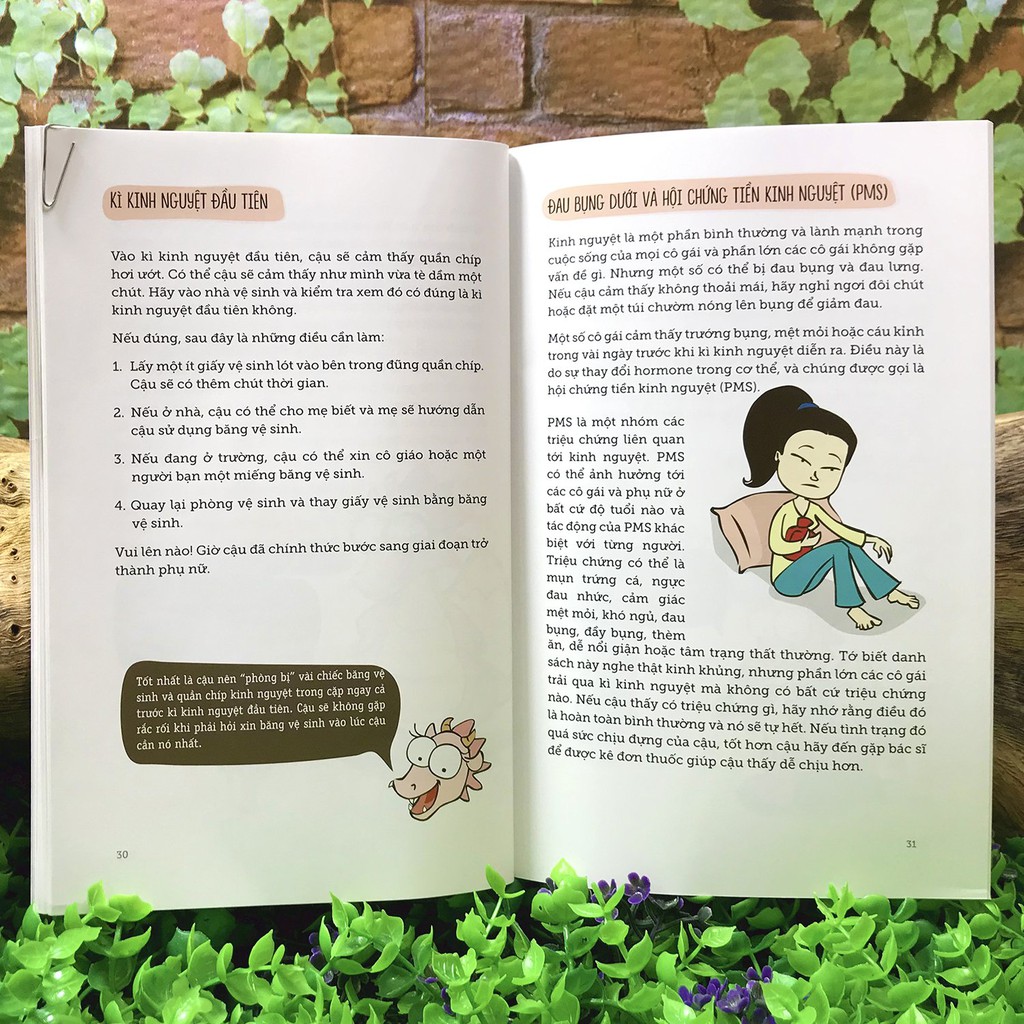 Sách - Cẩm Nang Giáo Dục Giới Tính - Nói Với Con Thế Nào Cho Đúng (Bộ 3 quyển, lẻ tùy chọn) | BigBuy360 - bigbuy360.vn