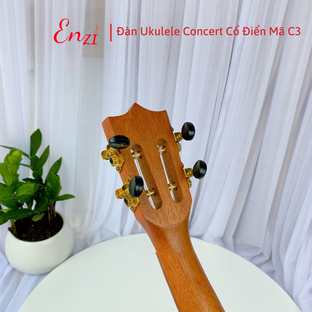 Đàn ukulele concert size 23  mã C3 Enzi kiểu dáng cổ điển khóa xịn, chất lượng âm thanh tuyệt hảo