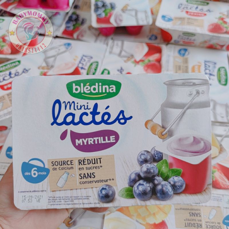 Sữa Chua nguội Bledina Pháp Cho bé từ 6 tháng tuổi