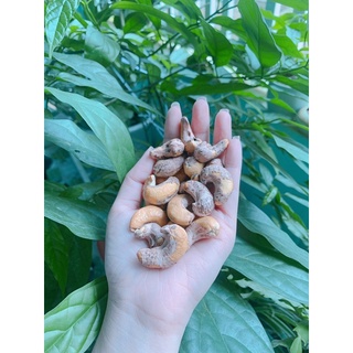 HẠT ĐIỀU A CỒ RANG MUỐI LOẠI 1