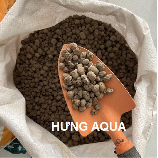 Sỏi đất nung SFARM sỏi nhẹ, giá thể trồng cây cảnh, thủy canh, trồng hoa lan, rau mầm 500g / 1kg