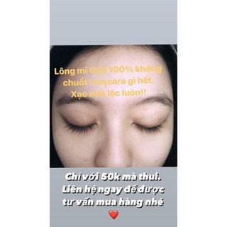 Coco Gel - Gel Dưỡng Mi, Mày