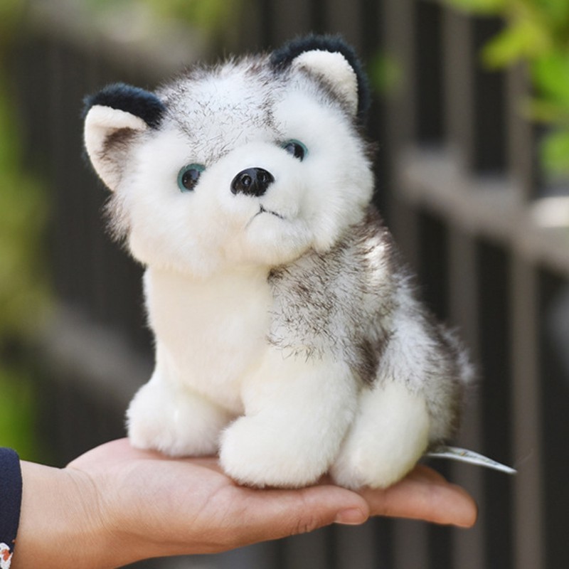 Chó Husky nhồi bông 30cm
