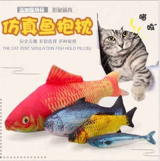 Cá bông catnip size to
