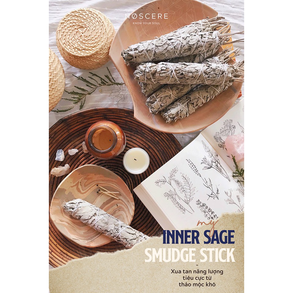 Cây xô thơm trắng - White Sage