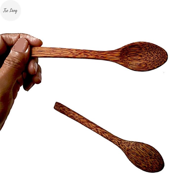 Bát Gáo Dừa, Chén Gáo dừa, Muỗng dừa decor TINHHOAVIET.