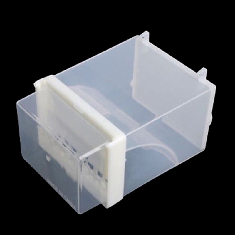 Hộp Đựng Thức Ăn Tự Động Bằng Acrylic Dành Cho Vẹt