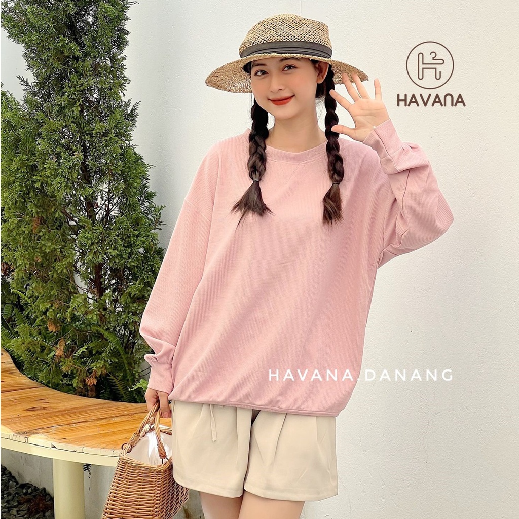 Áo sweater dài tay cổ tròn, áo len tổ ong freesize form rộng nhiều màu basic AE248