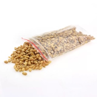 Cỏ mèo-cỏ lúa mạch- quần áo phụ kiện thú cưng