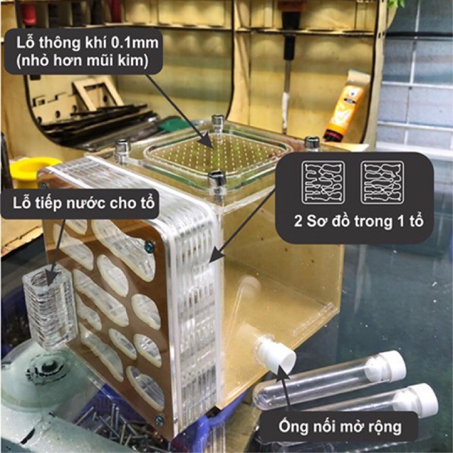 Formicarium / Tổ nuôi kiến / hộp nuôi kiến 10-10-10cm