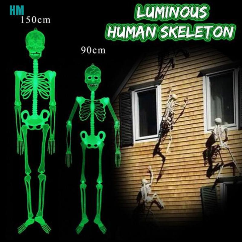 WOADA1 Bộ Xương Phát Quang 2D Trang Trí Halloween