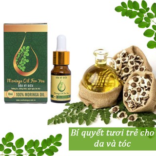 DẦU CHÙM NGÂY MORIS