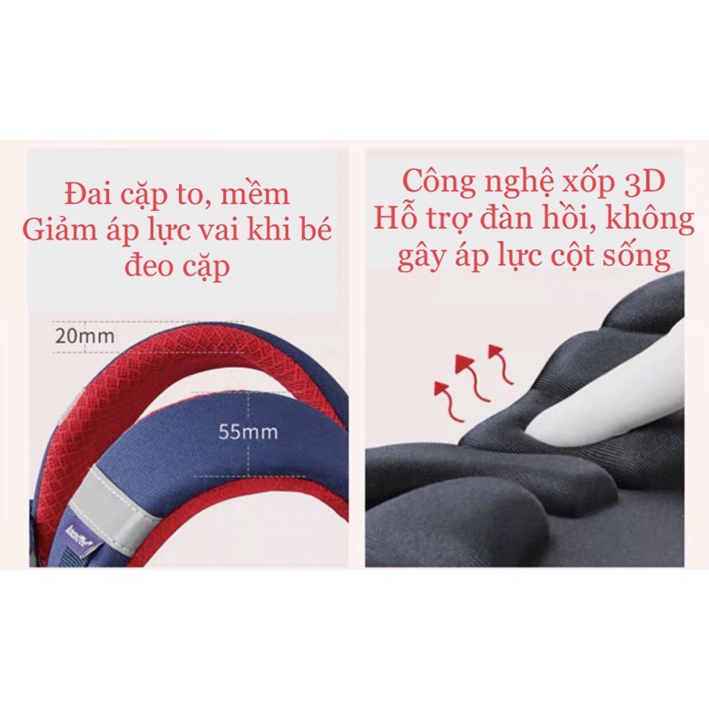 Cặp sách học sinh tiểu học CAMBIRGDE 5