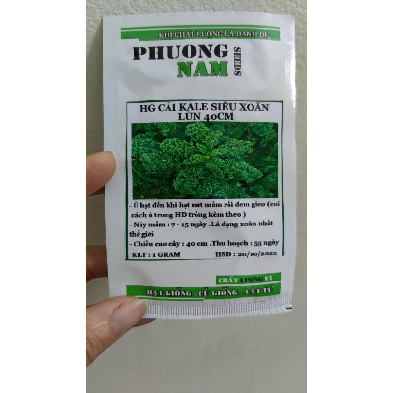 Hạt giống cải xoăn xanh Kale Siêu Lùn cao 40cm gói 1gr