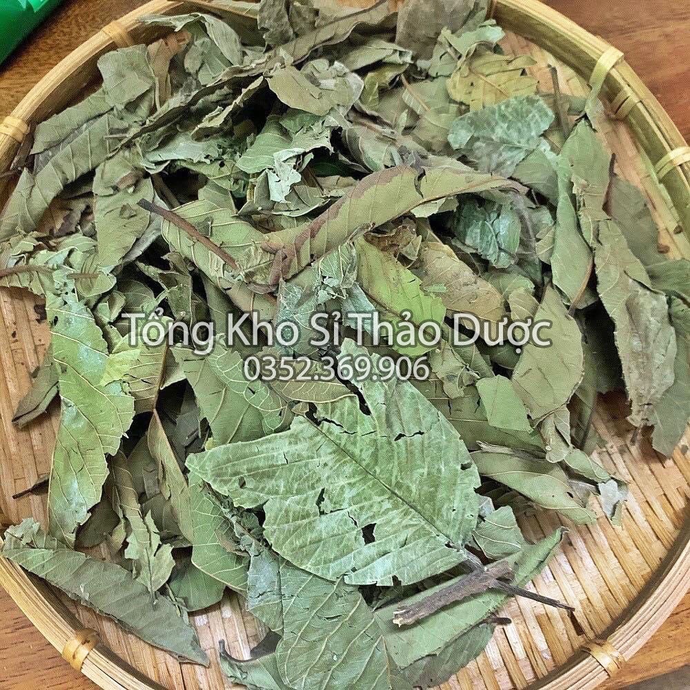 Lá ổi khô giảm cân 100g