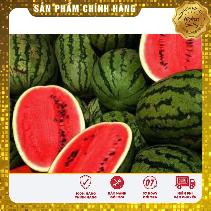 Hạt giống Dưa hấu cao sản năng suất