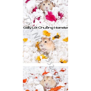 Giấy Lót Chuồng ( Jonsanty , Carefresh , Carno , Happy )