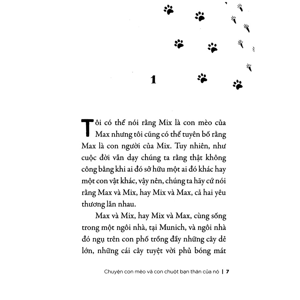 Sách - Chuyện Con Mèo Và Con Chuột Bạn Thân Của Nó | BigBuy360 - bigbuy360.vn