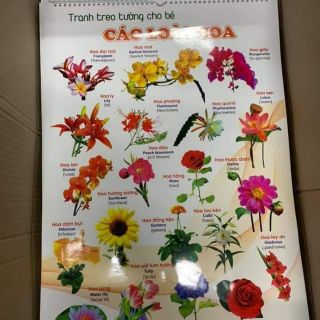 Tranh treo tường 14 chủ đề
