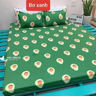 Bộ ga gối cotton poly