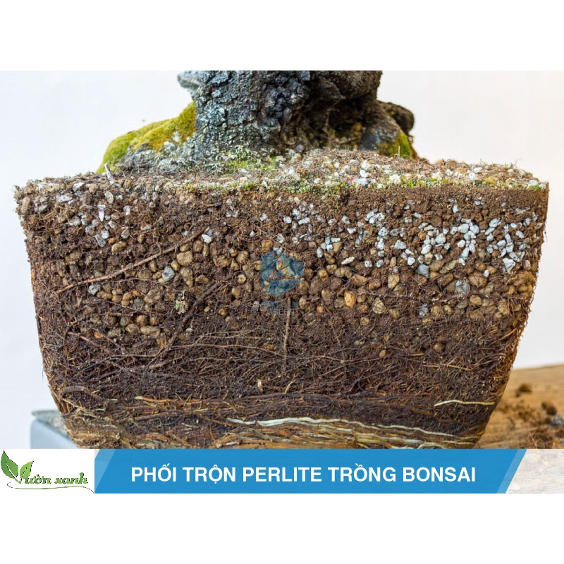 Đá bọt Pumice (Đá núi lửa) nhẹ, thoáng, giữ ẩm rất tốt 1kg